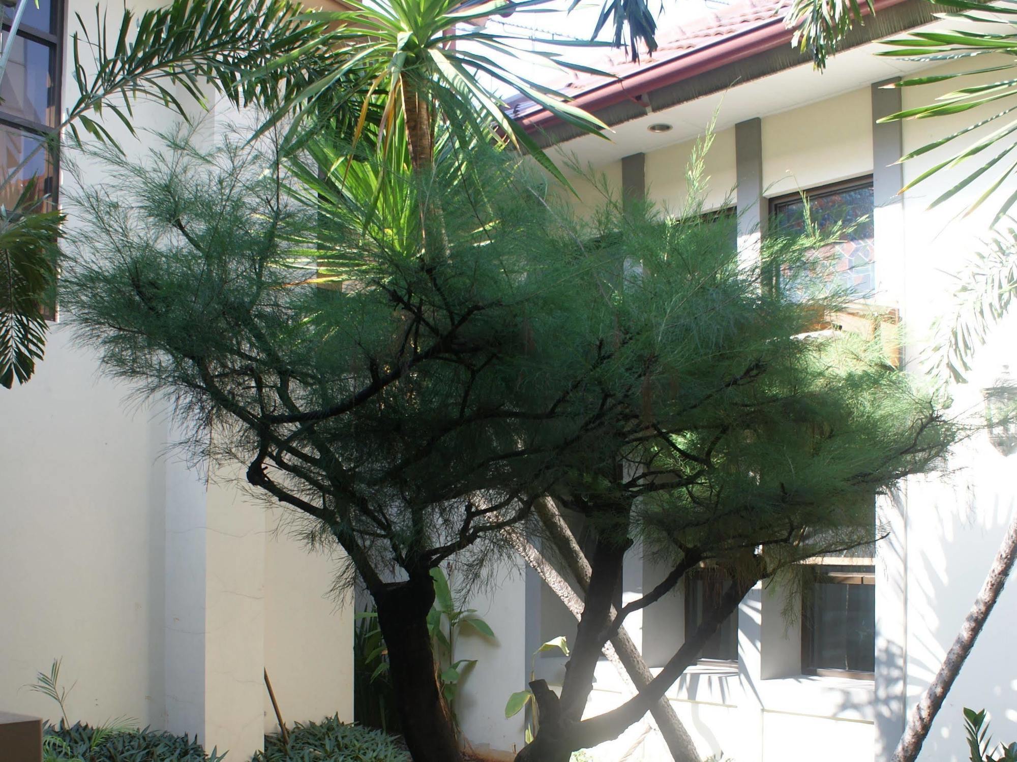Sofyan Hotel Soepomo Yakarta Exterior foto